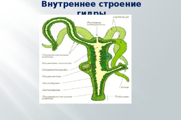 Кракен переходник ссылка