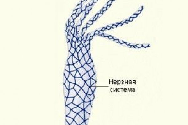 Регистрация на сайте кракен